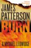 Book cover for "Burn".