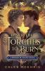 Book cover for "Teach the torches to burn"