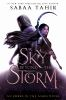 Book cover for "A sky beyond the storm"
