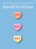Book Cover for "Boy Meets Boy"